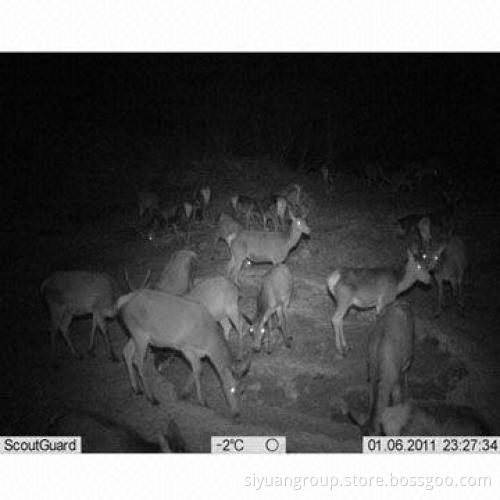 10MP HD Hunting Camera with 2.0-inch LCD Display, Time Lapse and Invisible IR Black OPS